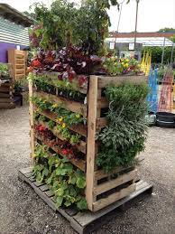 The Pallet Garden Using Recycled