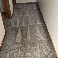 fremont michigan carpet cleaning