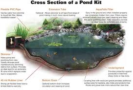 Backyard Diy Pond Kit