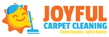 top 10 carpet cleaning companies in