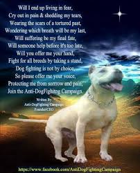 They are born guard dogs but are actually known for their mellow temperament when properly trained from a young age. Dog Fighting Quotes Quotesgram