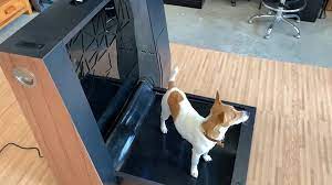 Inubox's smart indoor dog toilet cleans itself | Mashable