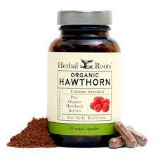 hawthorn berry 1200 mg 60 pure