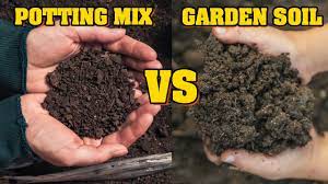 garden soil instead of potting mix