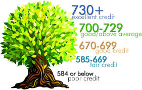 Your credit score is an indicator of how reliable you are at paying back a loan. How To Raise Your Credit Score By 100 Points In 45 Days