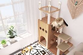 our favorite cat condos from