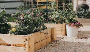 Wooden Garden Bed From Rotting