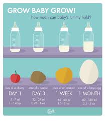 Stomach Capacity Baby Stomach Size Chart Www