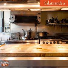 salamanders cooksinfo