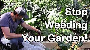 stop weeding your garden you