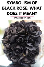 symbolism of black rose what does it mean