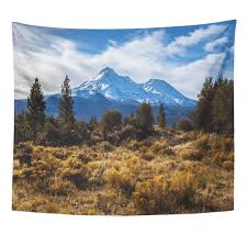 REFRED Landscape Blue Cascade Forest Mount Shasta California Clouds Mountain  Wall Art Hanging Tapestry Home Decor for Living Room Bedroom Dorm 60x80  inch - Walmart.com