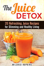 the juice detox 20 refreshing juice