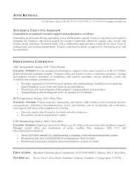 Best Executive Resumes Samples Great Executive Resumes Best