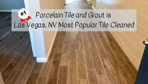 porcelain tile and grout cleaning