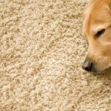 jacksonville carpet repair richlands