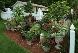 Landscaping Design With Containers Pt