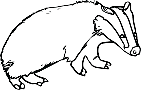 This coloring page of badger is great for kids and adults that prefer a simpler style of coloring book. Badger Coloring Pages Best Coloring Pages For Kids