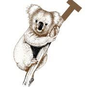 koala t carpet cleaning updated april