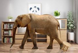 elephant in the room creative