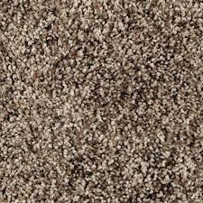 harvest brown 12 texture carpet cleo