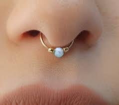 Examples of septum in a sentence. Buy Fake Septum Piercing Fake Septum Fake Piercing Fake Septum Jewelry 24g Fake Septum Ring Opal Fake Septum Clip On Septum Fake Septum Ring Online In Vietnam B07pcj79lm