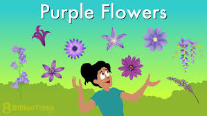 purple flowers names growing