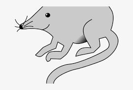 It has a roud folk song index number of 6489. Fun Rats Hickory Dickory Dock Mouse Png Image Transparent Png Free Download On Seekpng