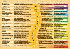 Dorn Method Products Spine Organ Connections Chart Poster