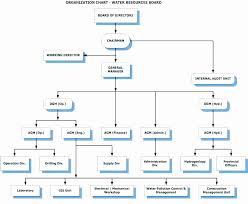 Project Organization Chart Template Best Of Project Team