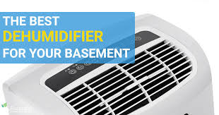 the 7 best dehumidifiers for basements