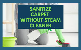 action steamer carpet cleaning