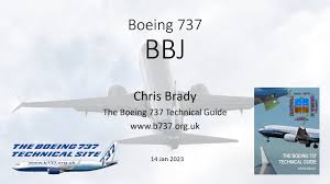 the boeing 737 max