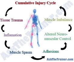 Nasm Cumulative Injury Cycle Flexibility Training Injury