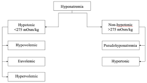 hyponatremia in infectious diseases