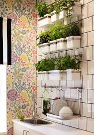 How To Grow Herbs In A Small Kitchen