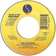 45cat echo and the bunnymen lips