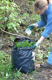Disposing Of Weed Waste Weedbusters