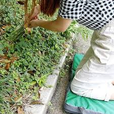 garden kneeling pad save