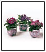Ceramic clay basically stands for its decorative specifications with a vibrant, glossy color. Optimara Self Watering Ceramic Pots