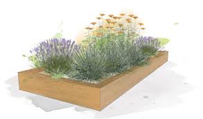 Planting Plan The Importance Of