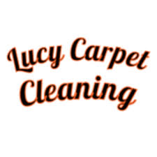 lucy carpet cleaning ottawa ontario