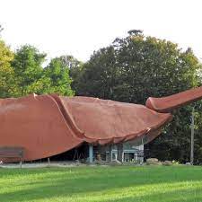 World S Largest Horseshoe Crab