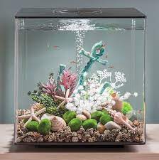 These diy aquarium decor are highly sustainable and you can opt for oem creative designs for a customized version. Aquarium Ideas For Your Home Create An Ocean Underwater World Coastal Decor Ideas Interior Design Diy Shopping