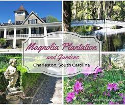 magnolia plantation and gardens