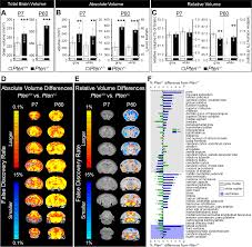 Pten Haploinsufficiency Disrupts Scaling Across Brain Areas