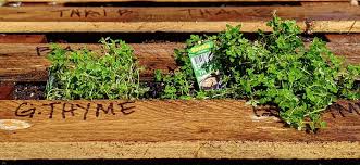 How To Make A Pallet Garden Step By