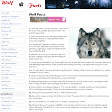 Wolffacts Org At Wi Wolf Facts Interesting Information