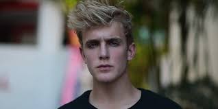He gained extensive media coverage when the music video for his 2017 single it's everyday bro went viral on youtube. Jake Paul Estimated Net Worth In 2021 Techie Gamers