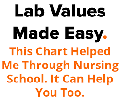 Lab Values Made Easy This Chart Helped Me Through Nursing